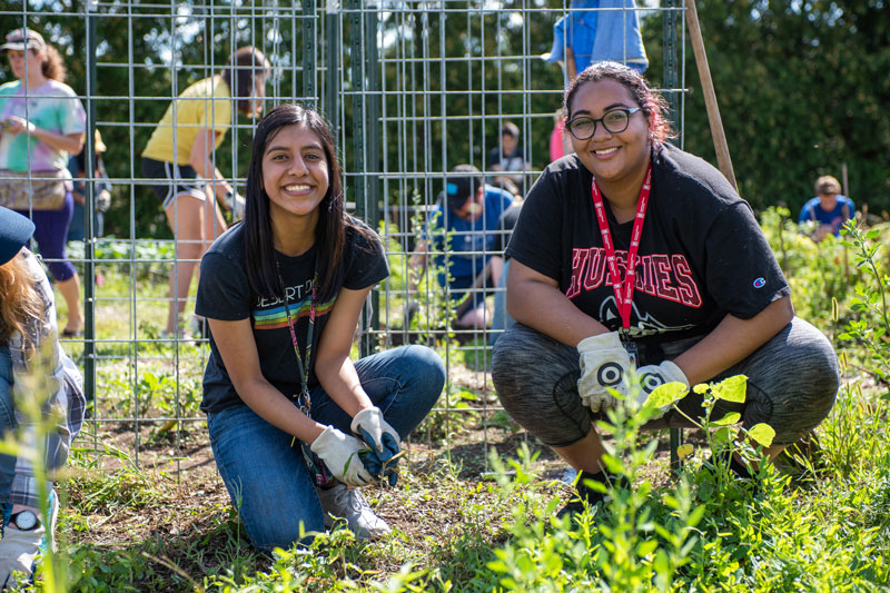 Students working in Communiversity Garden