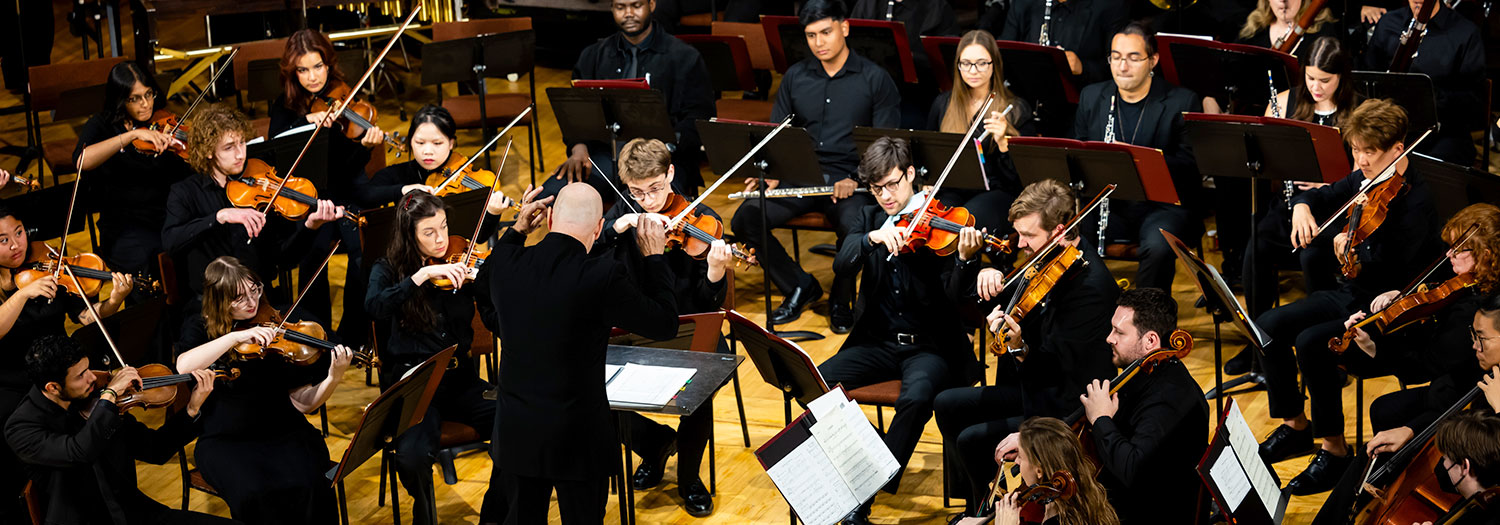 Philharmonic Orchestra concert